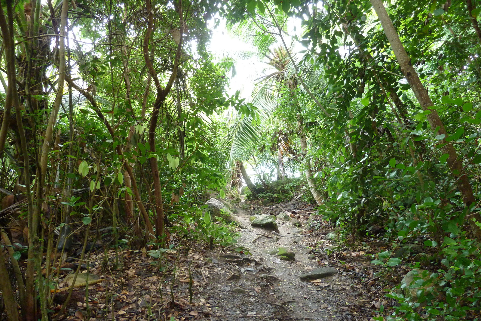 Photo Seychelles Anse Lazio 2011-10 111