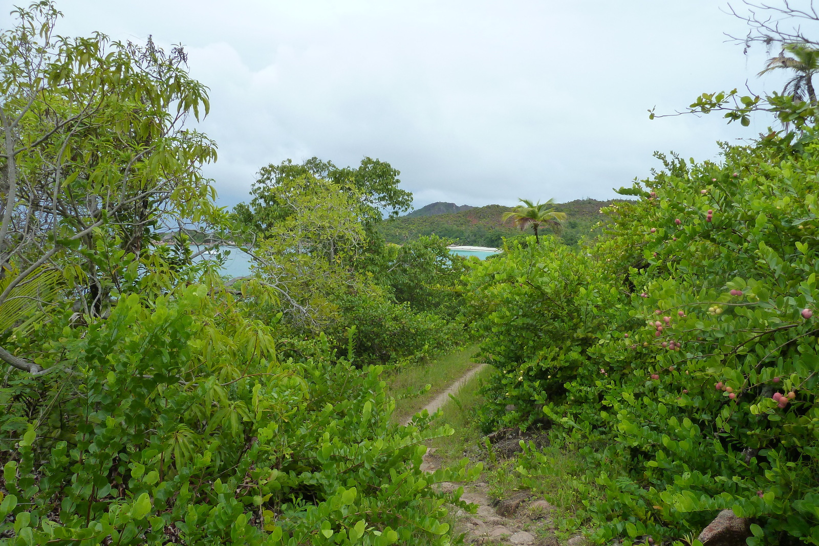 Photo Seychelles Anse Lazio 2011-10 129