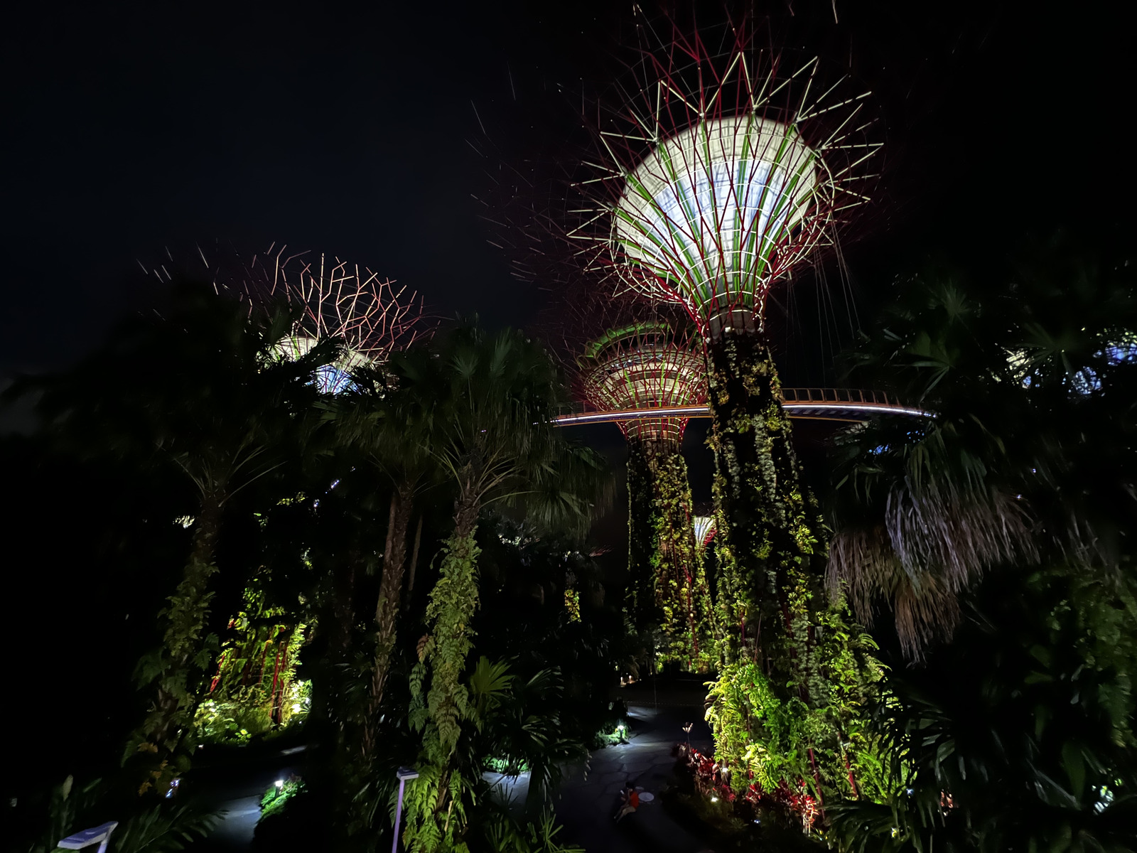 Photo Singapour Garden by the bay 2023-01 37