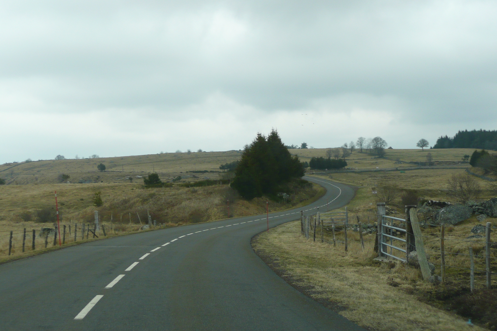 Photo France Plateau de L'Aubrac 2008-04 69