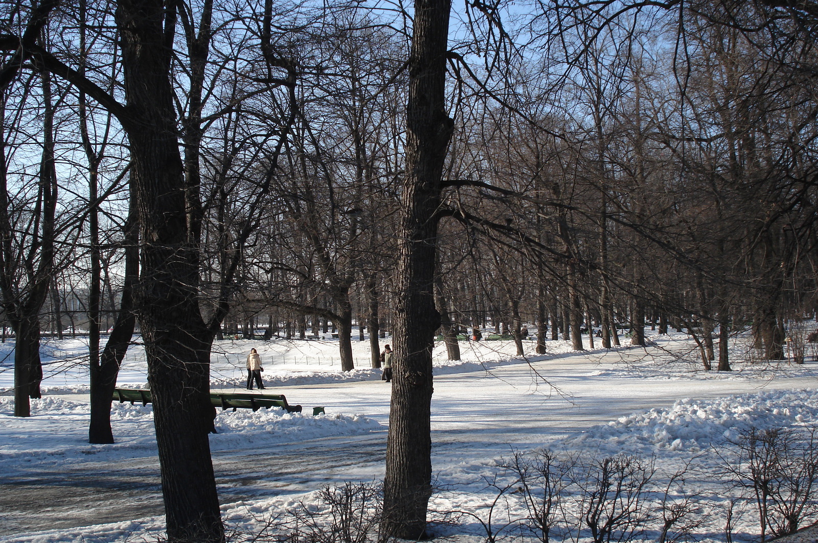Photo Russie Saint-Pétersbourg Jardin d'été 2006-03 3