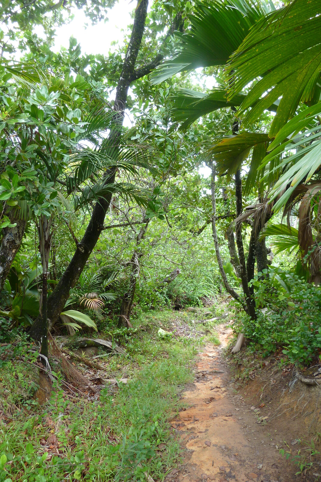 Photo Seychelles Anse Lazio 2011-10 126