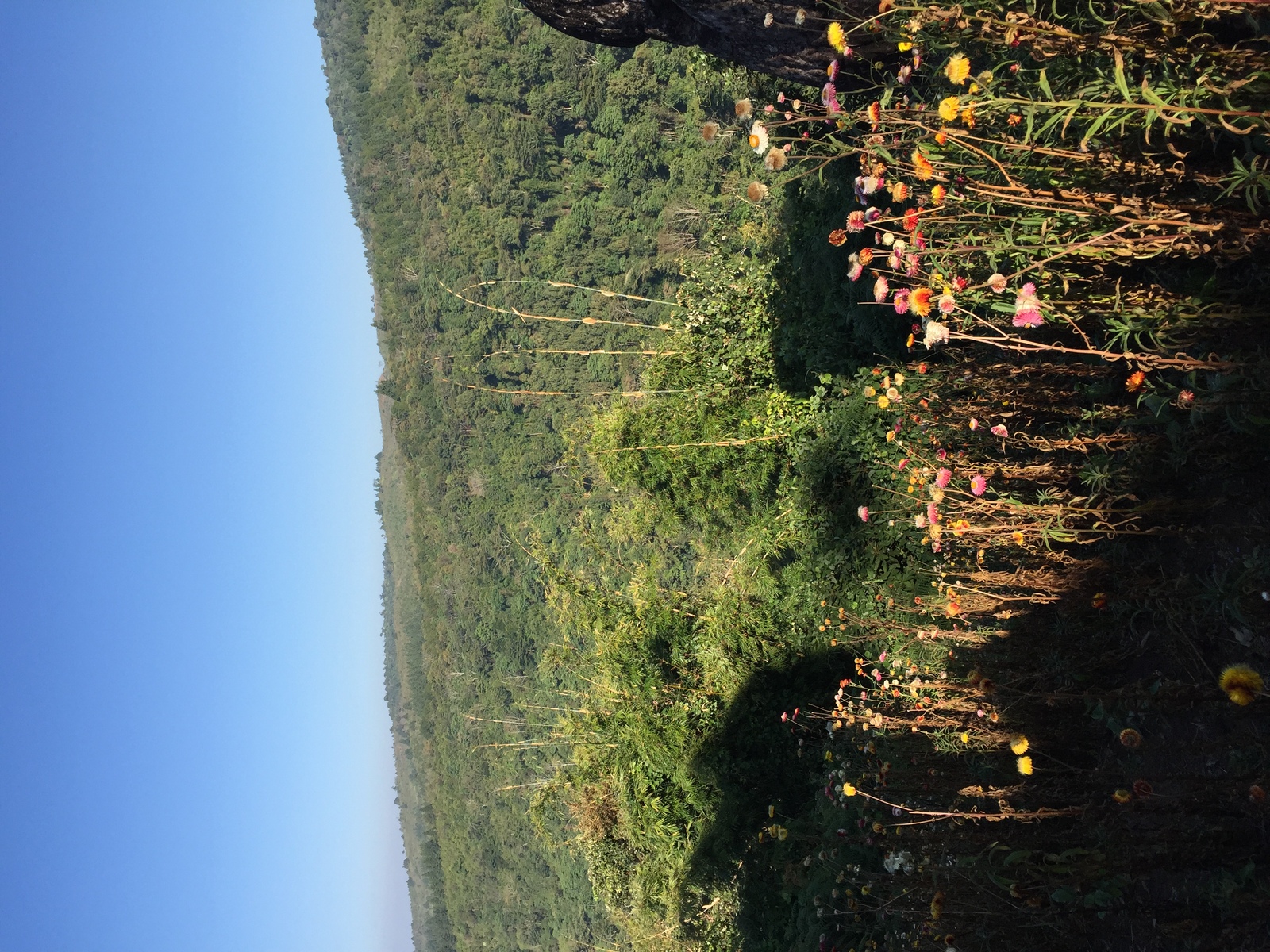 Photo Thaïlande Parc National Phu Hin Rong Kla 2014-12 430