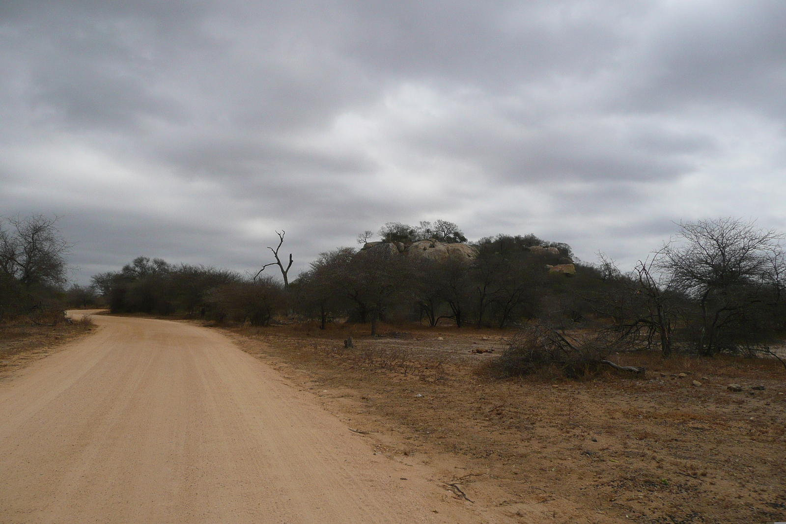 Photo Afrique du Sud Parc National Kruger 2008-09 12