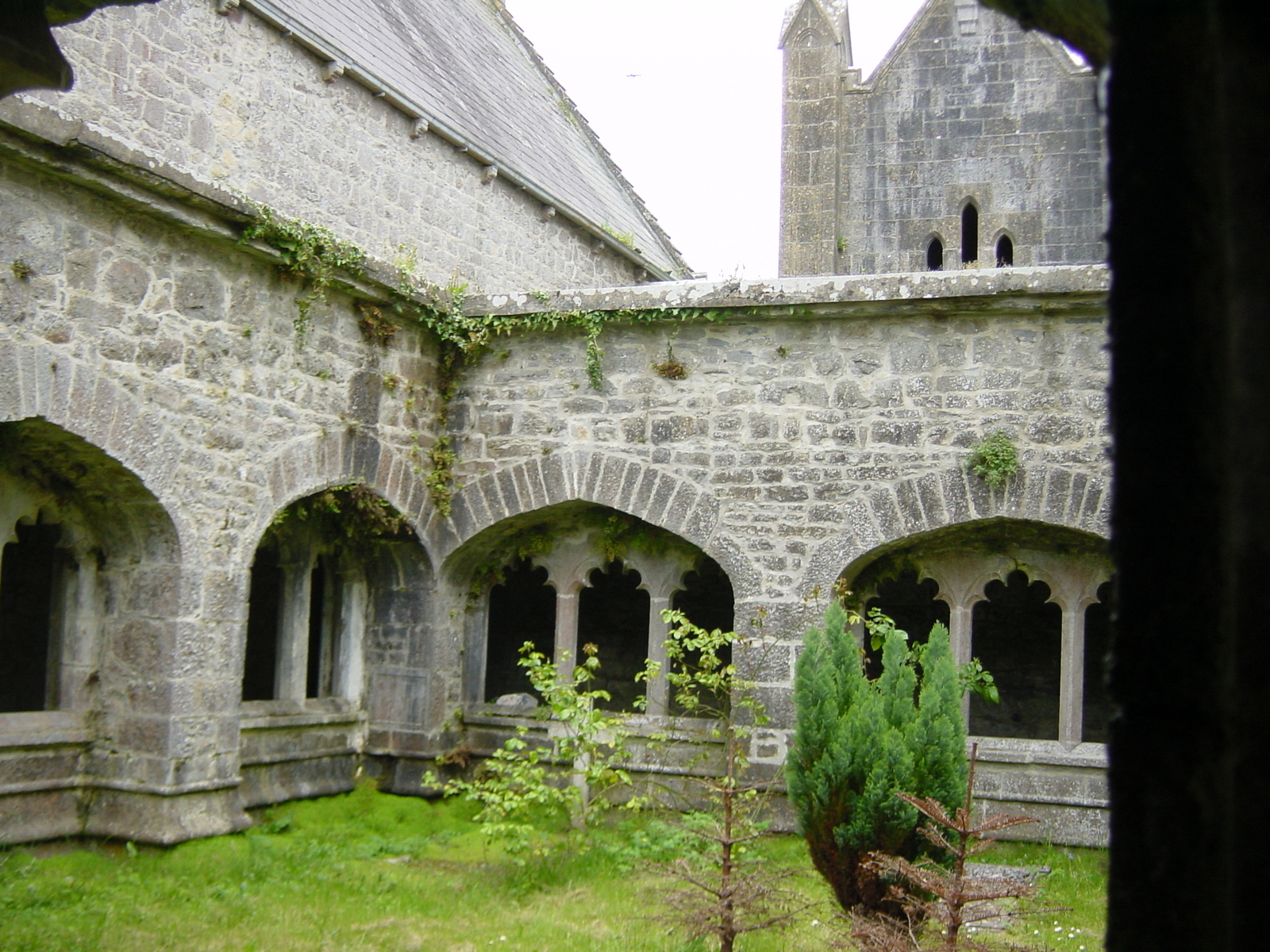 Photo Irlande Contrée de Limerick Adare 2004-05 9