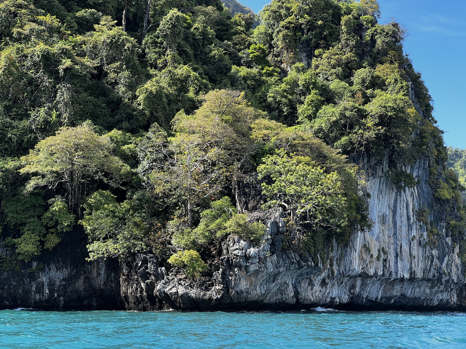 Photo Thaïlande Ko Phi Phi Ley 2021-12 124
