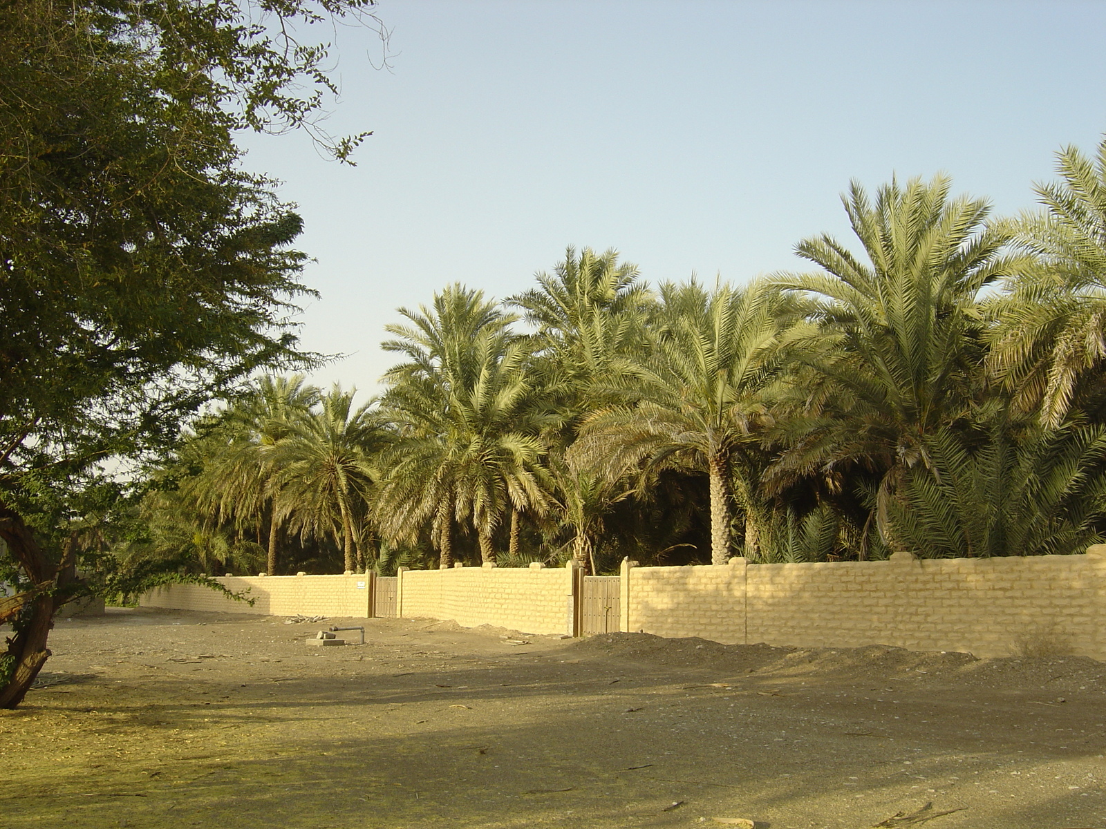 Photo Émirats arabes unis Al Ain Oasis 2005-03 40