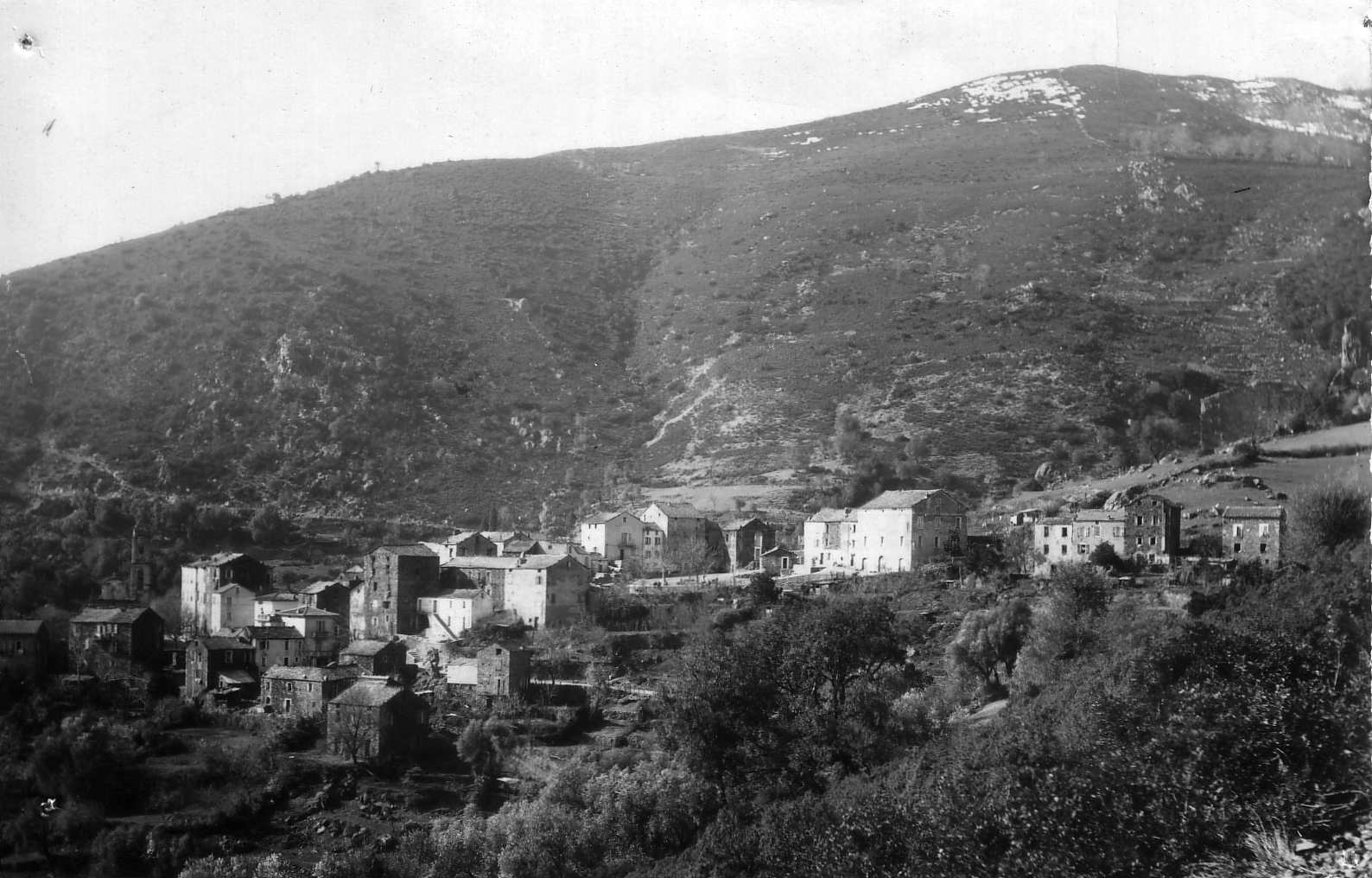 Photo France Corse Cartes postales anciennes 1900-01 93