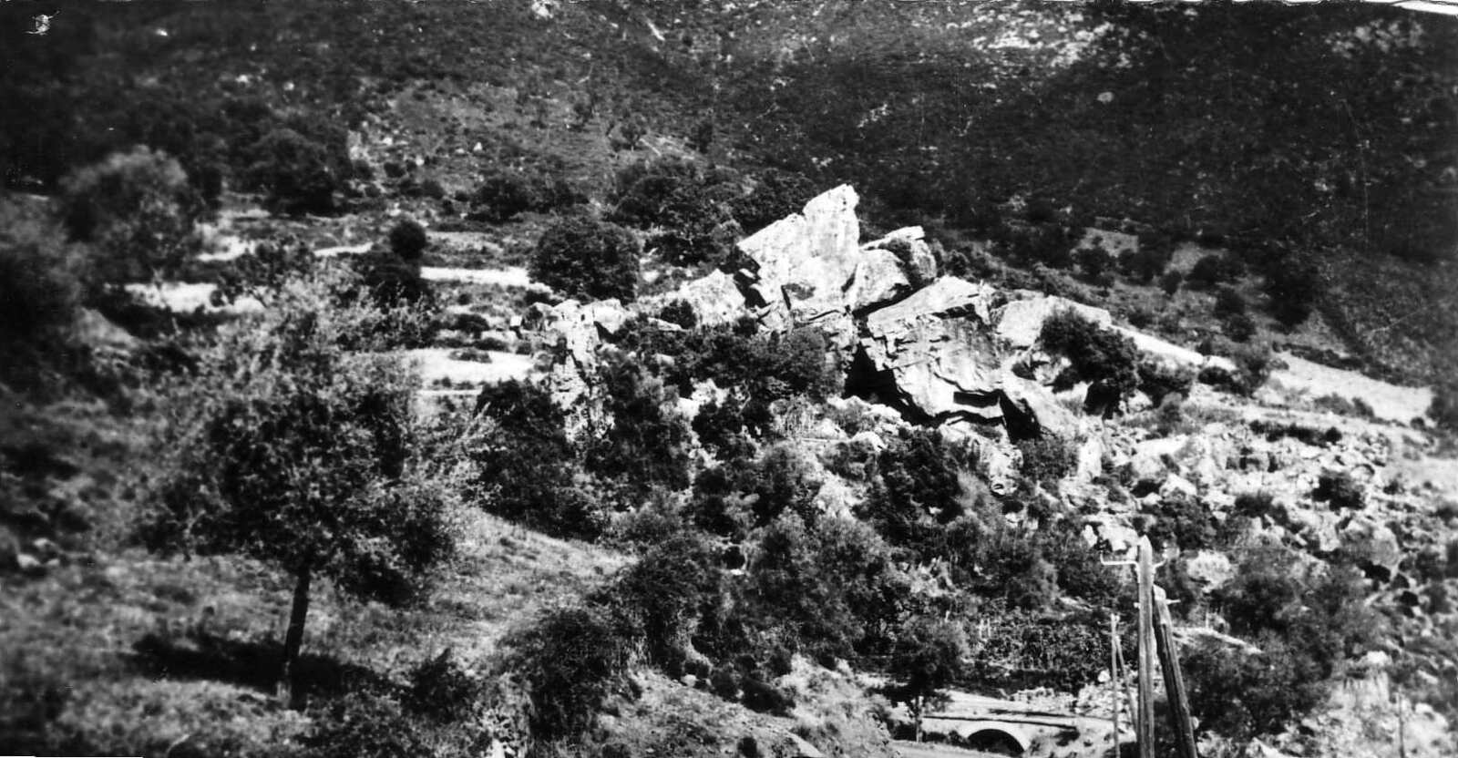Photo France Corse Cartes postales anciennes 1900-01 139