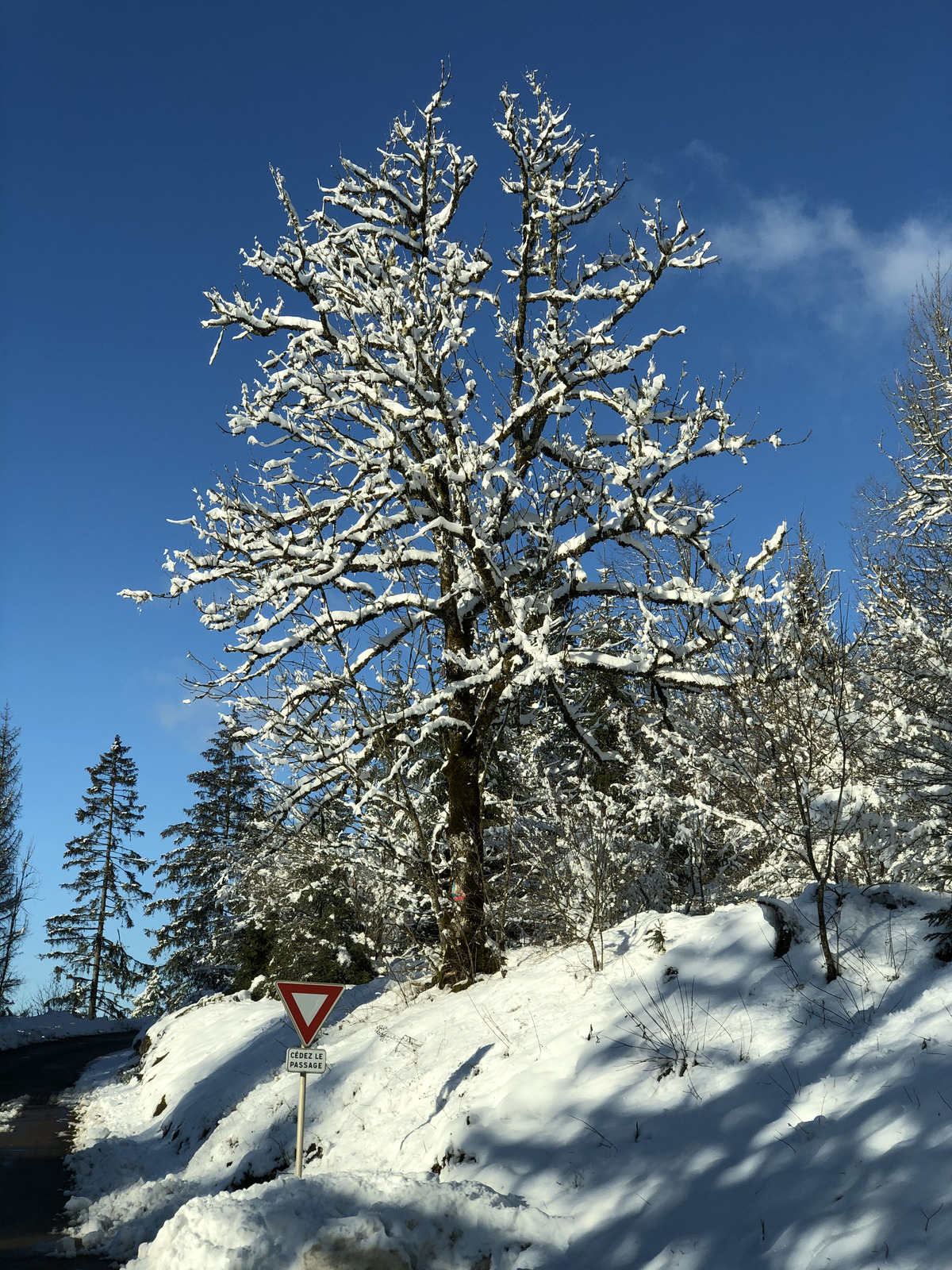 Photo Suisse Crans Montana 2020-12 255