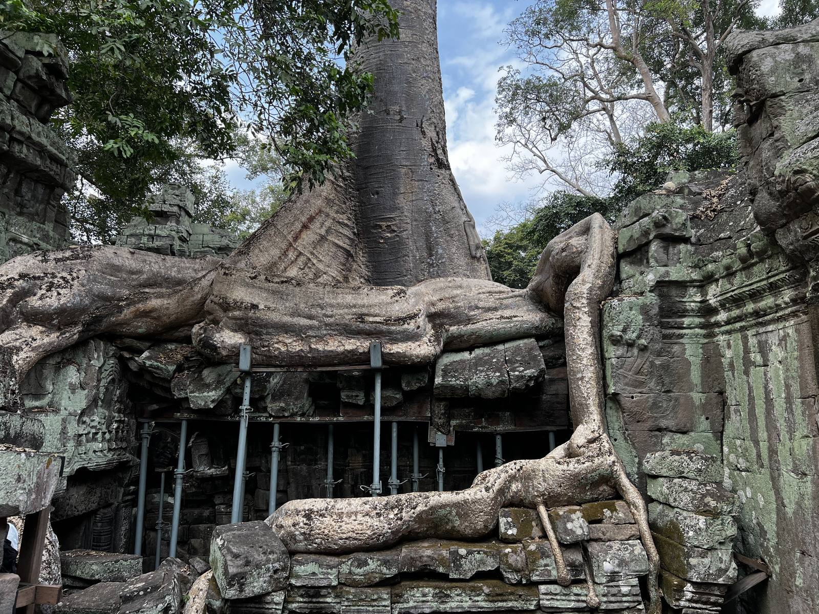 Photo Cambodge Siem Reap Ta Prohm 2023-01 33