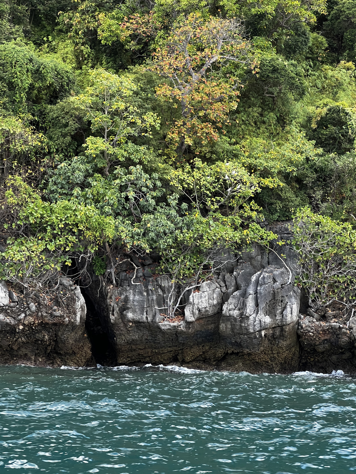 Photo Thaïlande Ko Phi Phi Ley 2021-12 82