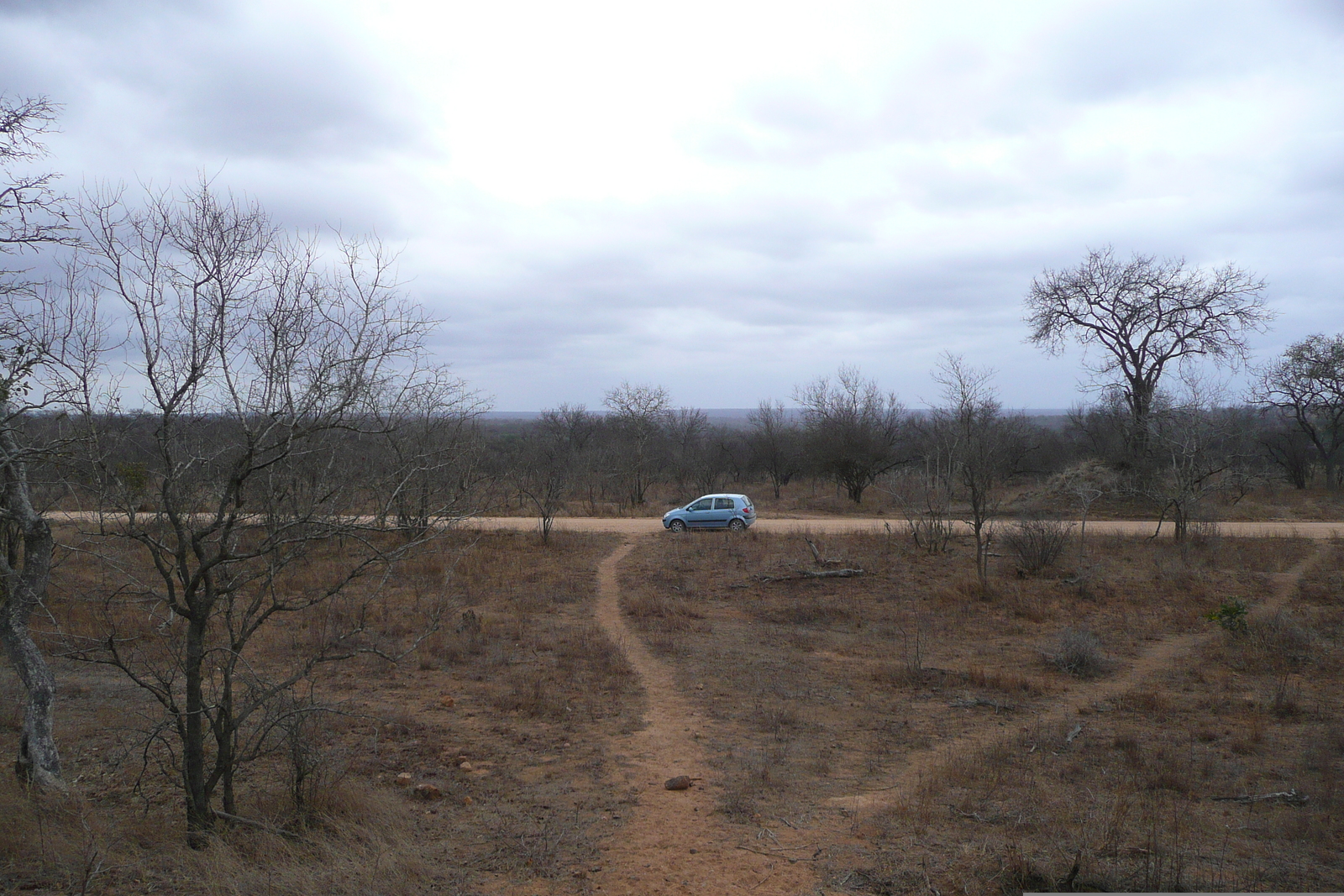 Photo Afrique du Sud Parc National Kruger 2008-09 92