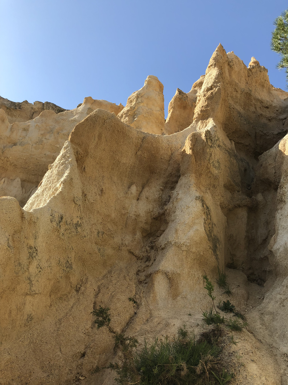Photo France Orgues d'Ille Sur Tet 2018-04 83