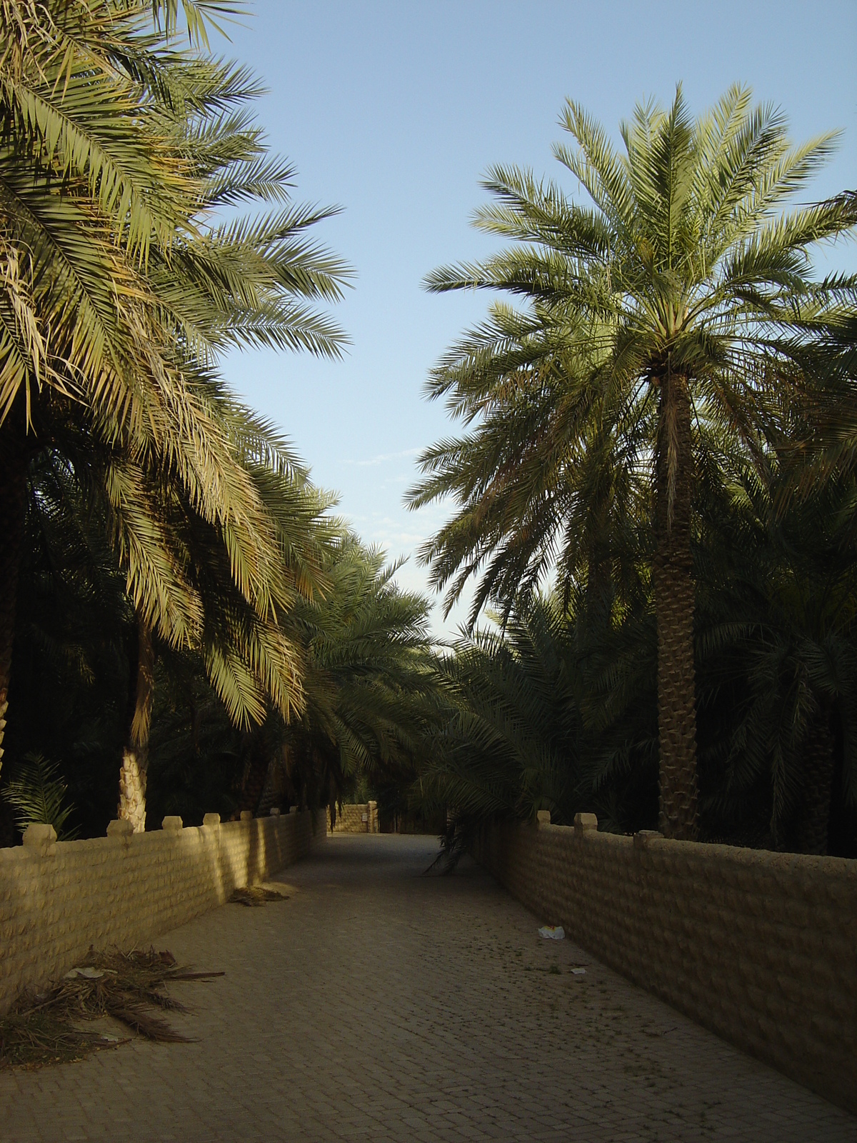 Photo Émirats arabes unis Al Ain Oasis 2005-03 4