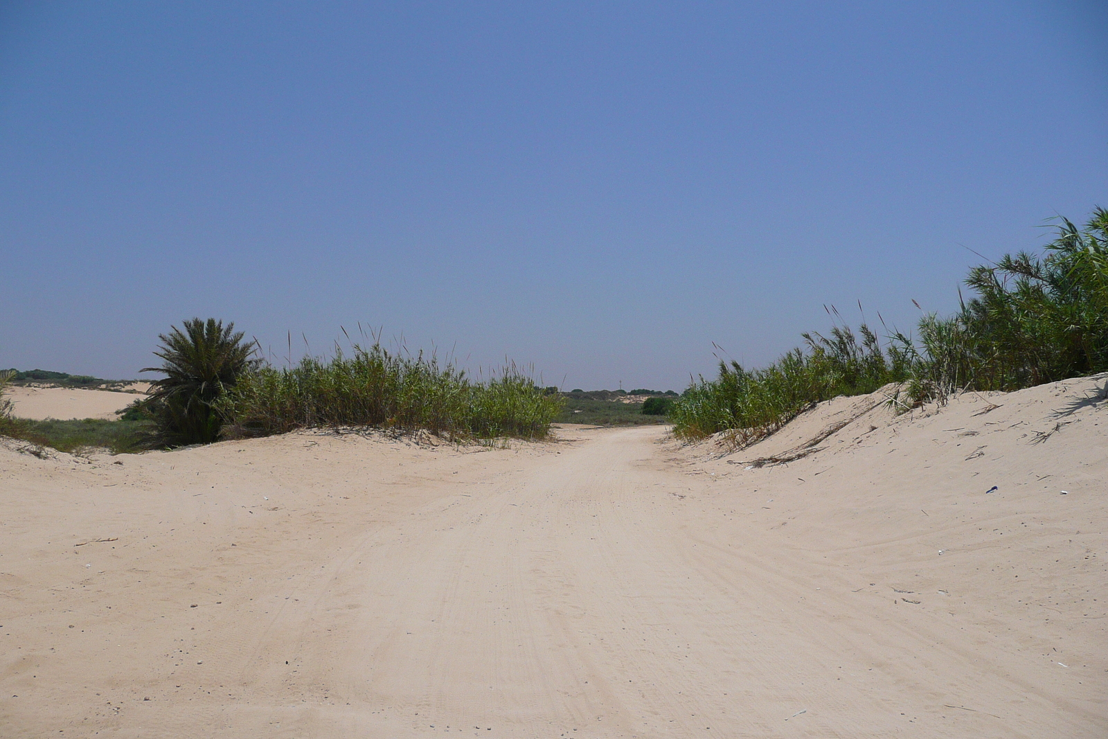 Photo Israel Nitzan 2007-06 21