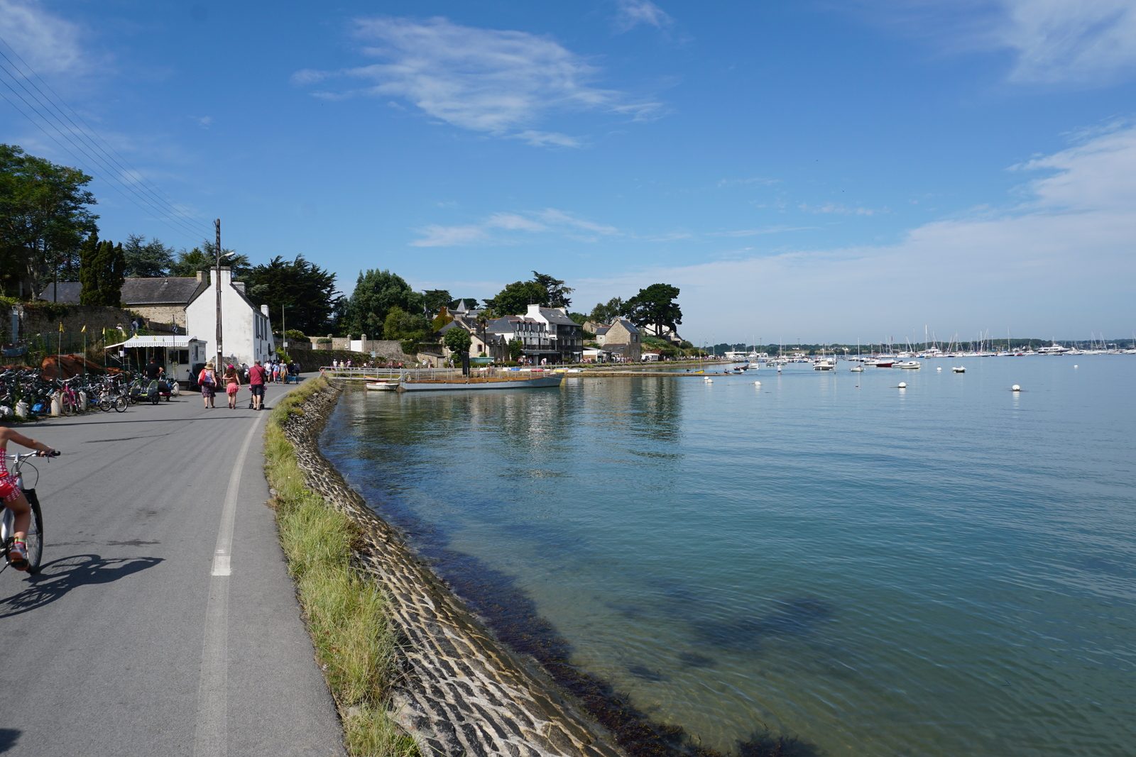 Photo France Île-aux-Moines 2016-08 76
