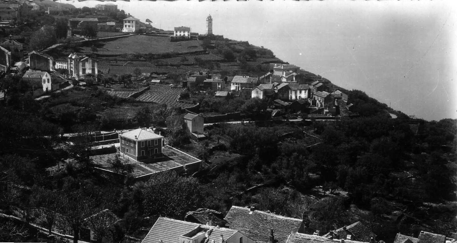 Photo France Corse Cartes postales anciennes 1900-01 98