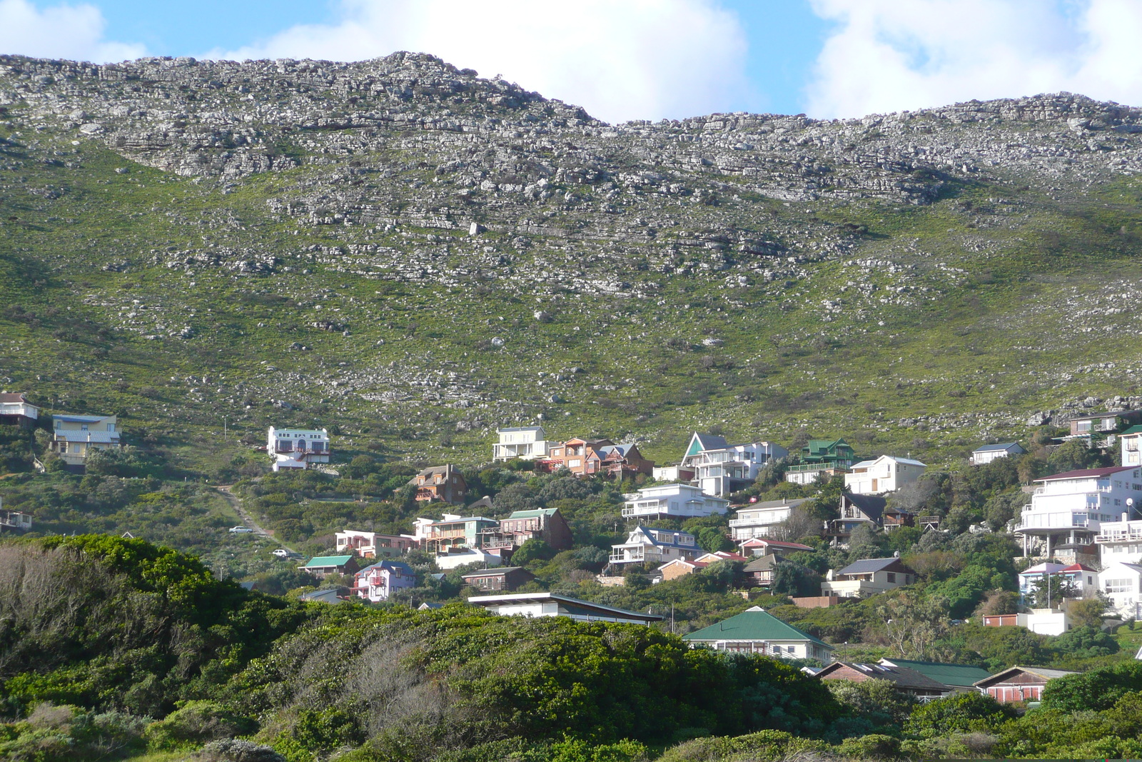 Photo Afrique du Sud Cap de Bonne Espérance 2008-09 125