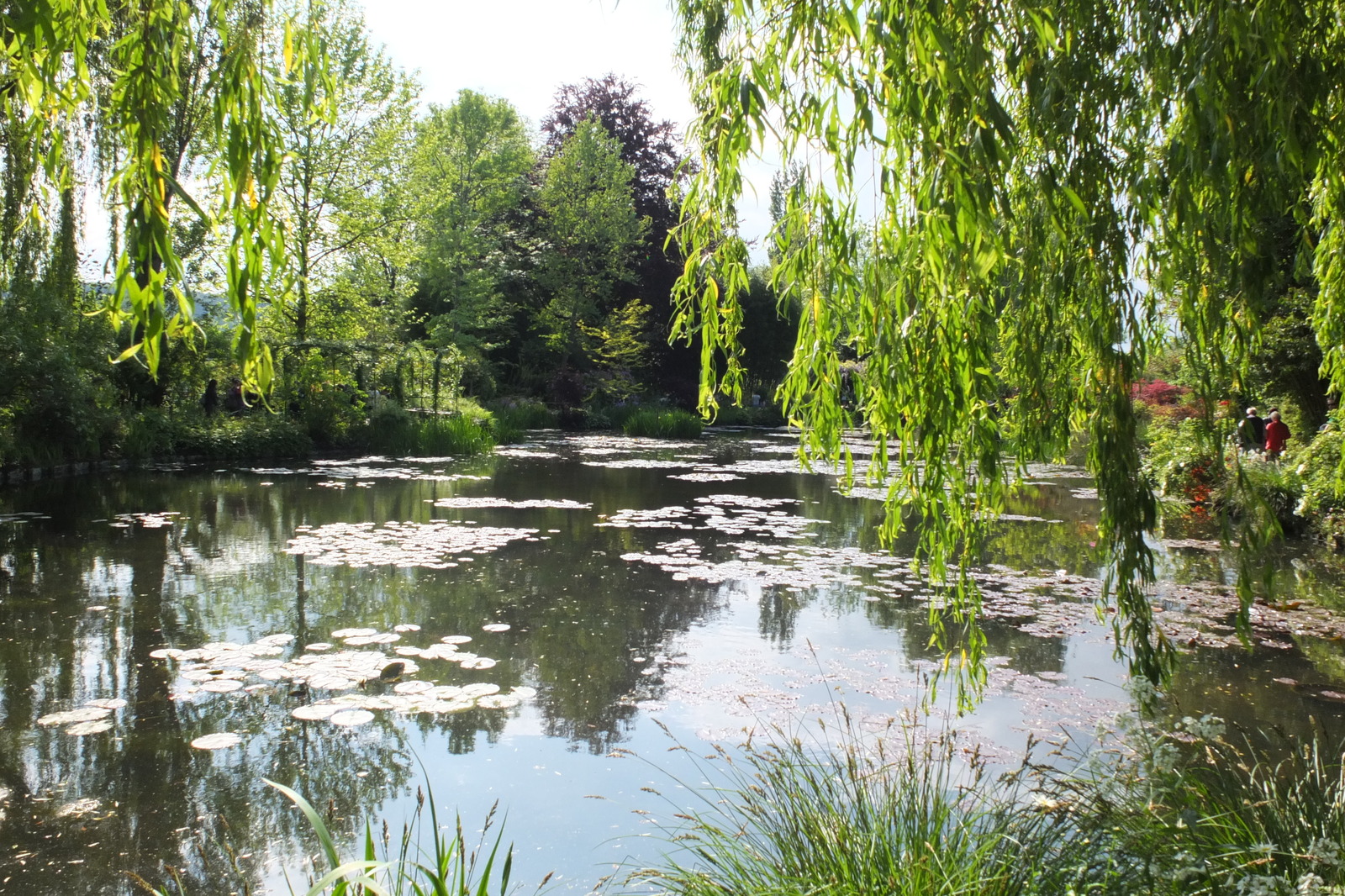 Photo France Giverny 2013-06 172