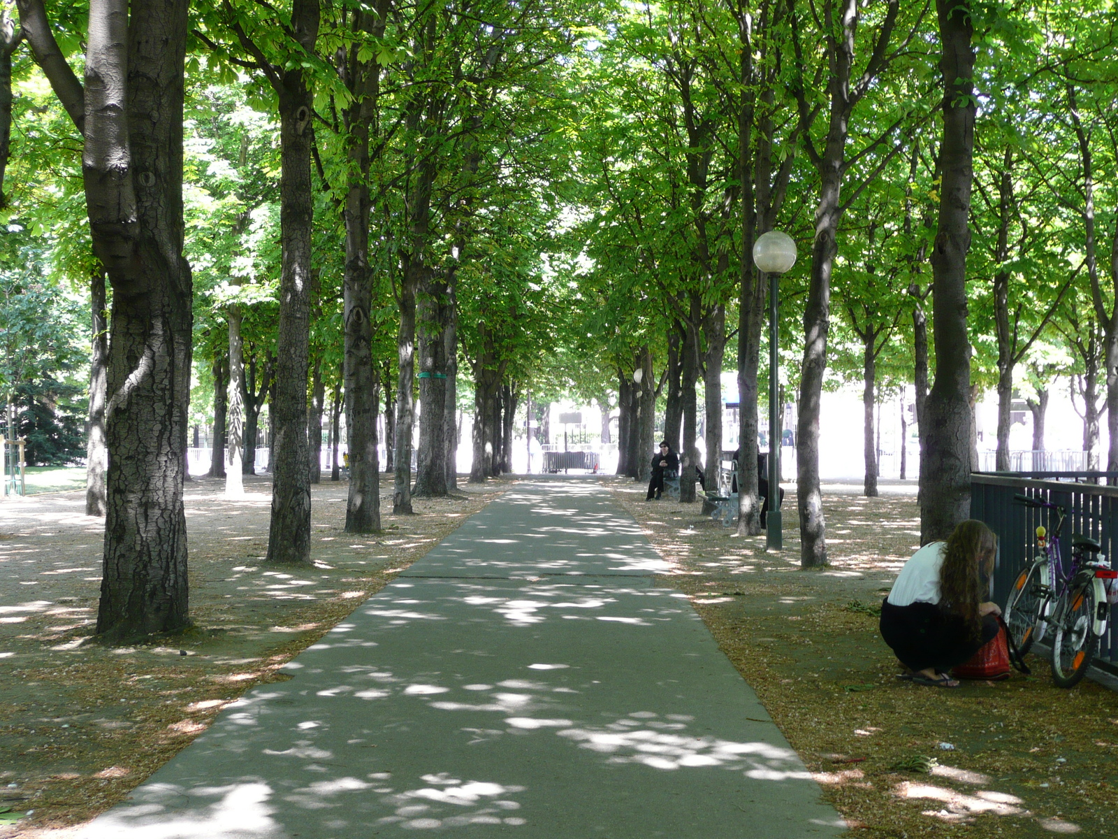 Photo France Paris Avenue des Champs Elysees 2007-05 18
