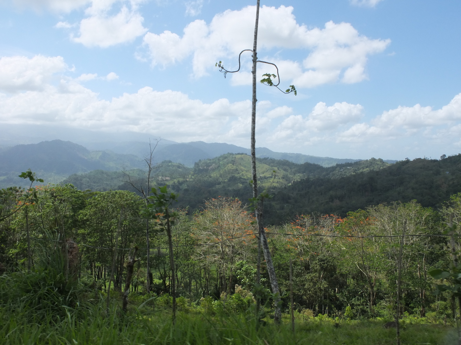 Photo Costa Rica Turrialba 2015-03 86