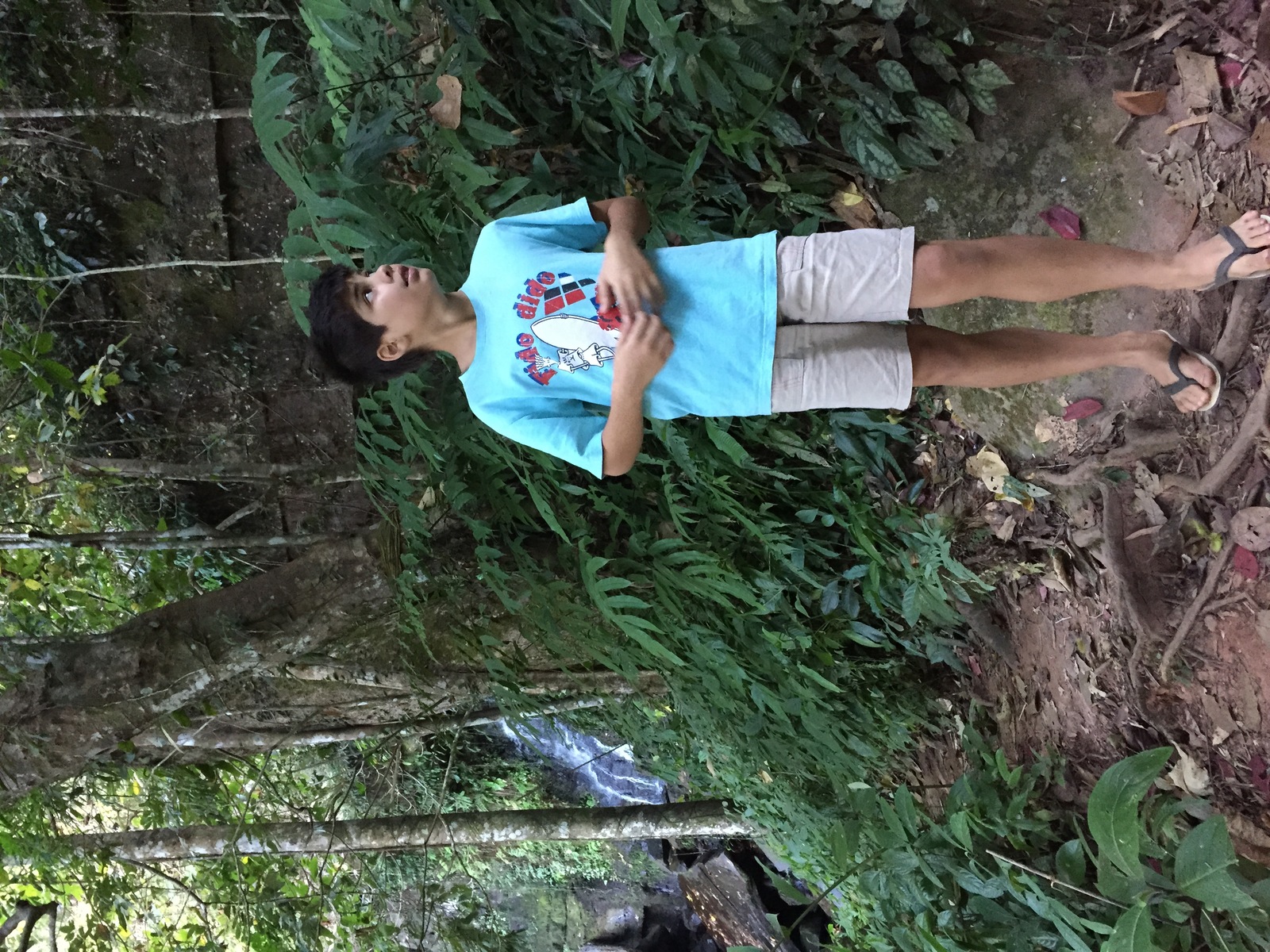 Photo Thaïlande Parc National Phu Hin Rong Kla 2014-12 358
