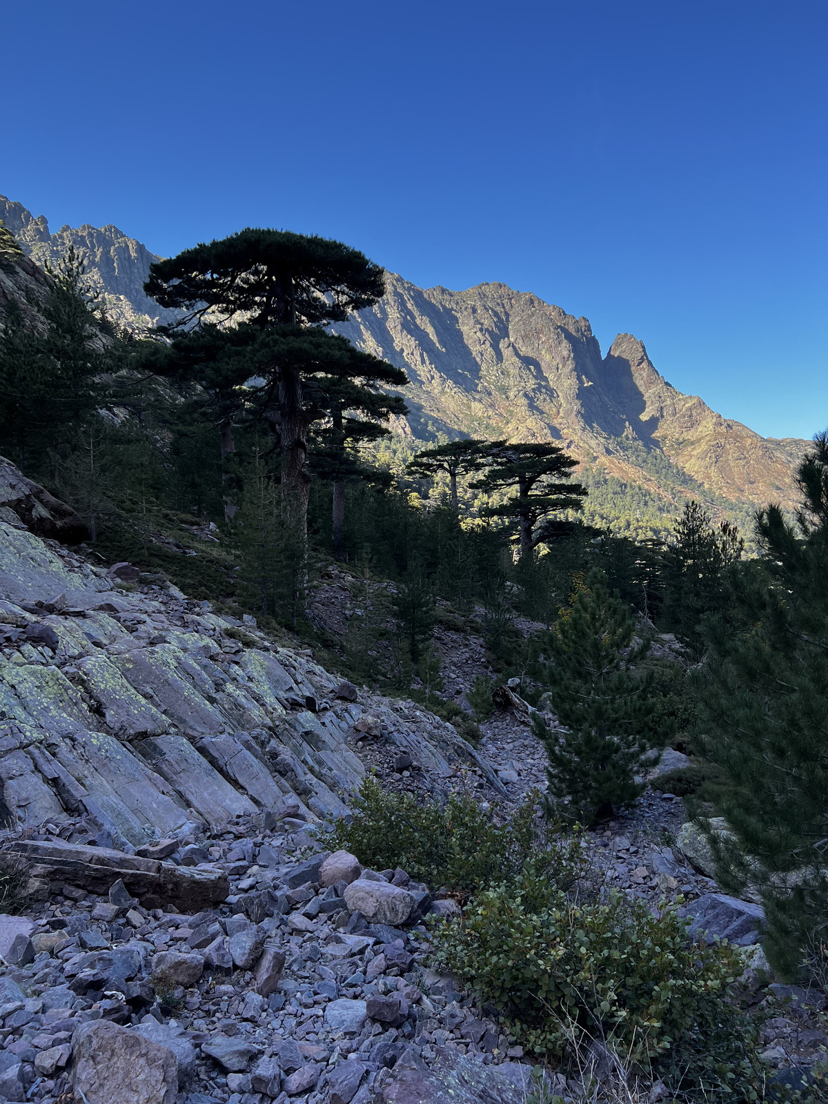 Photo France Corse Monte Cinto 2023-10 3