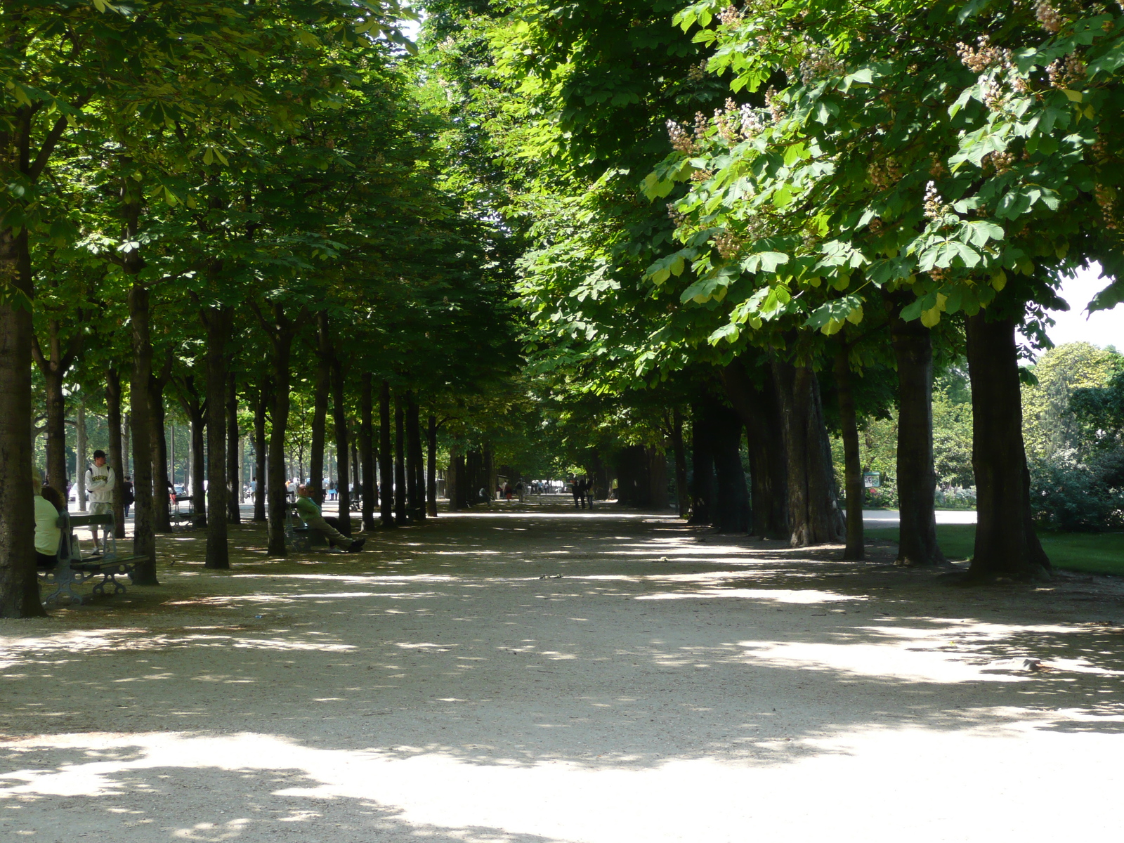 Photo France Paris Avenue des Champs Elysees 2007-05 3