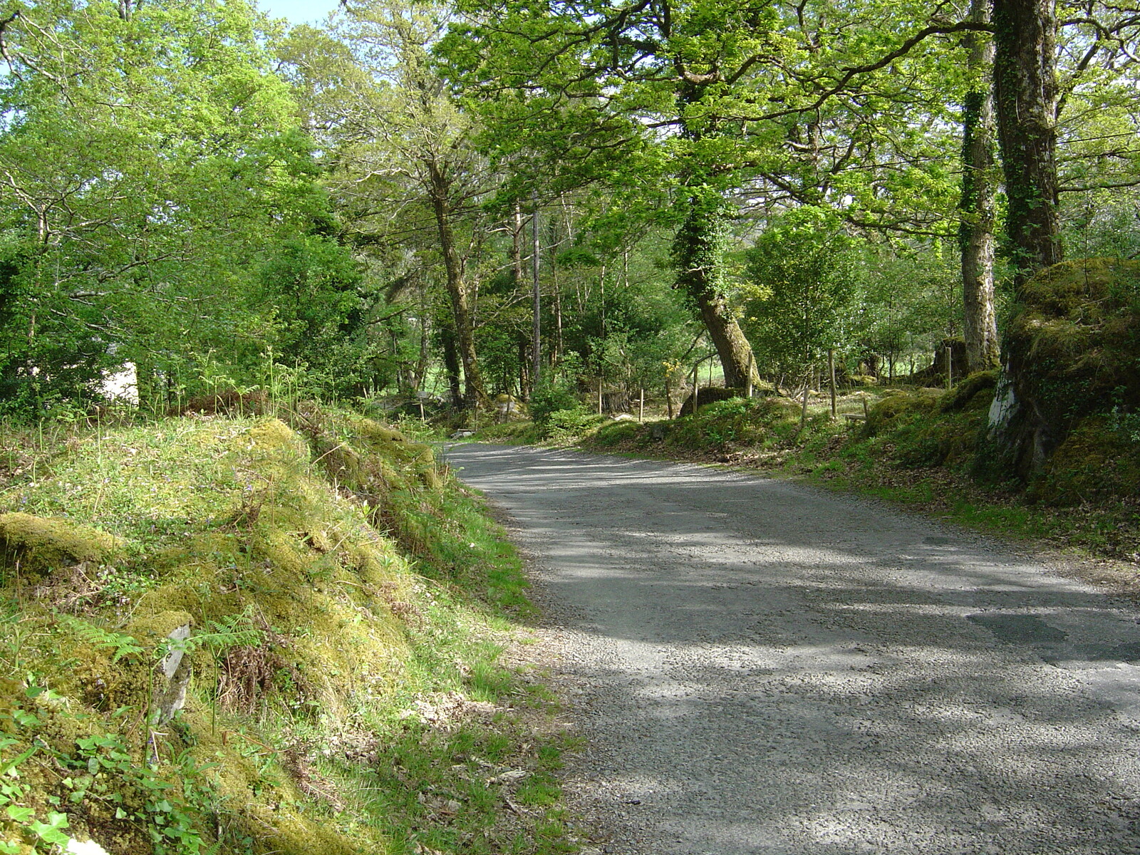 Photo Irlande Kerry Lac Caragh 2004-05 32