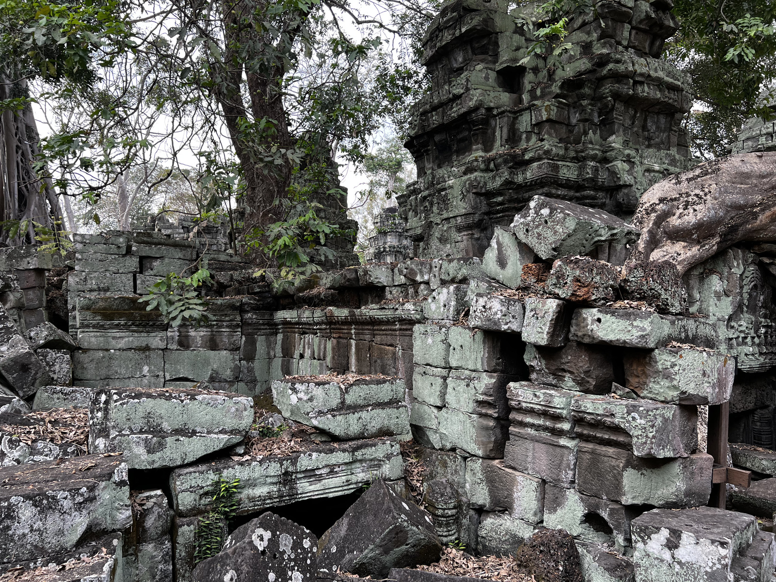 Photo Cambodge Siem Reap Ta Prohm 2023-01 150