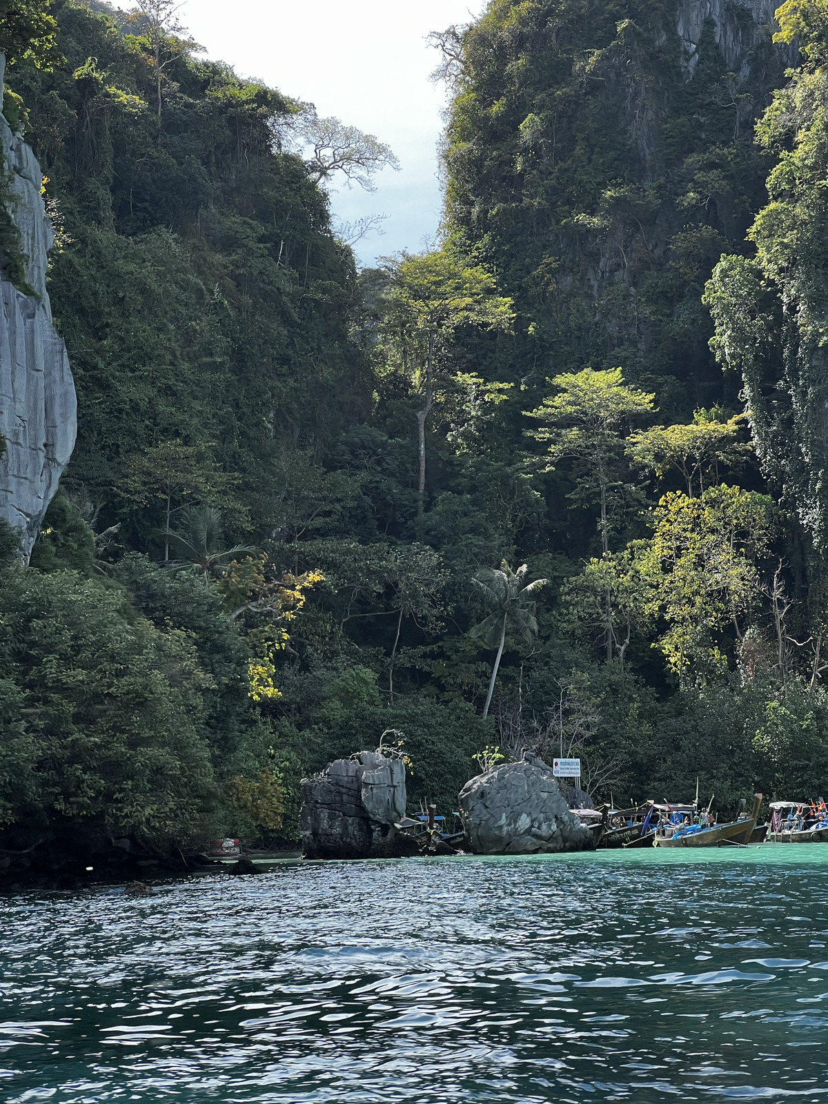 Photo Thaïlande Ko Phi Phi Ley 2021-12 80