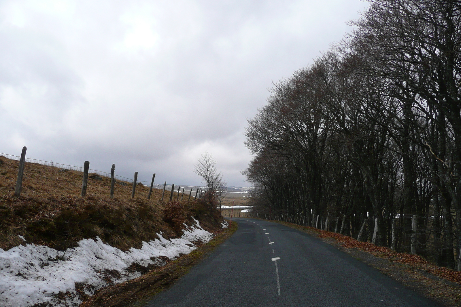 Photo France Plateau de L'Aubrac 2008-04 19