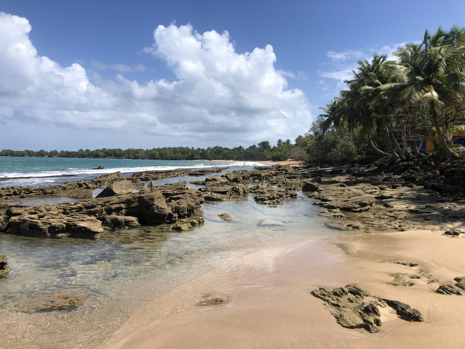 Photo Guadeloupe Plage de Clugny 2021-02 8