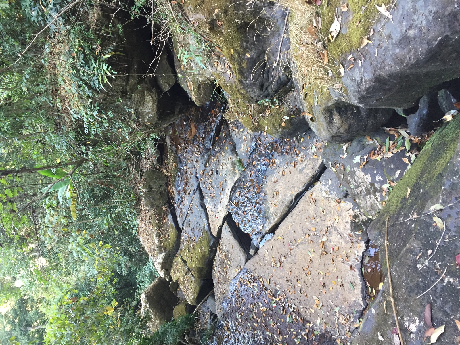 Photo Thaïlande Parc National Phu Hin Rong Kla 2014-12 269