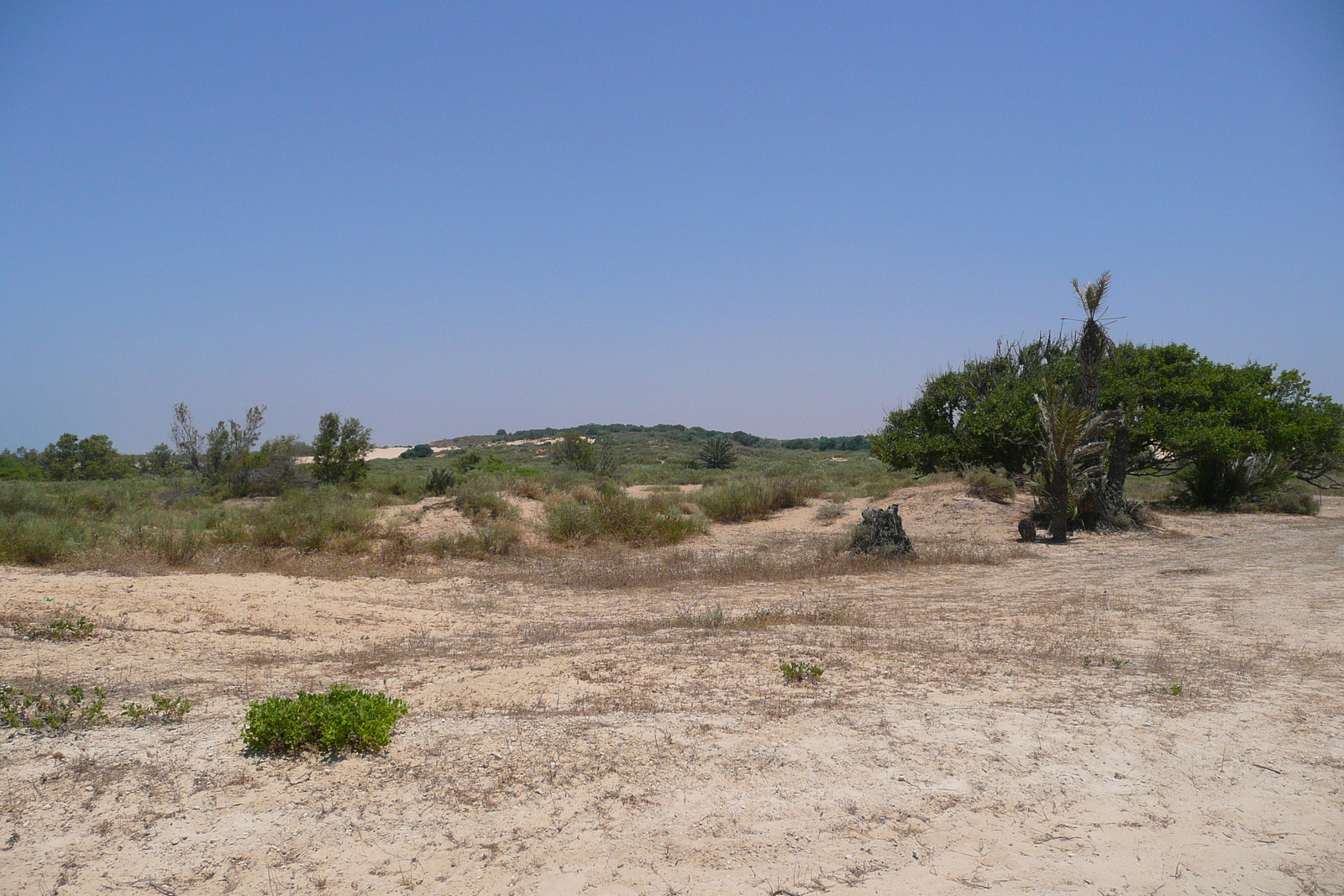 Photo Israel Nitzan 2007-06 71