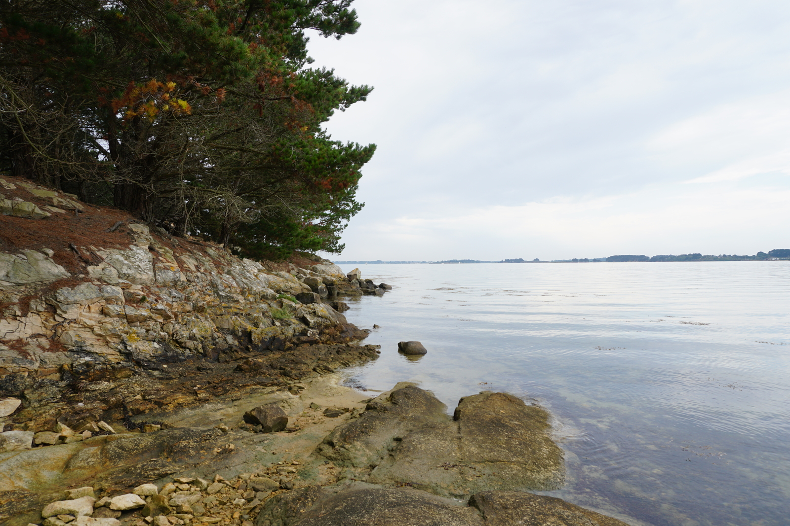 Photo France Île-aux-Moines 2016-08 91