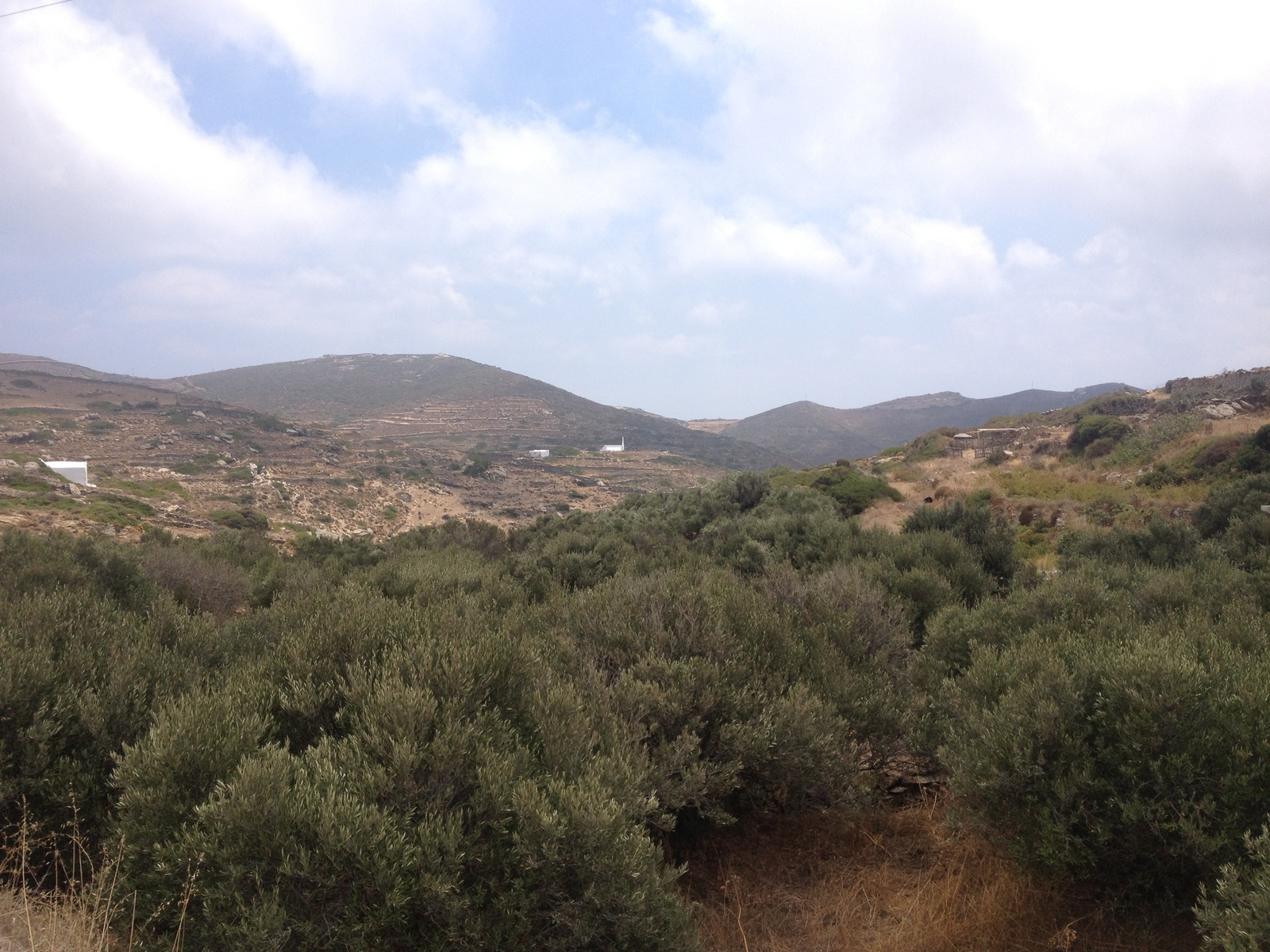 Photo Grèce Amorgos 2014-07 213