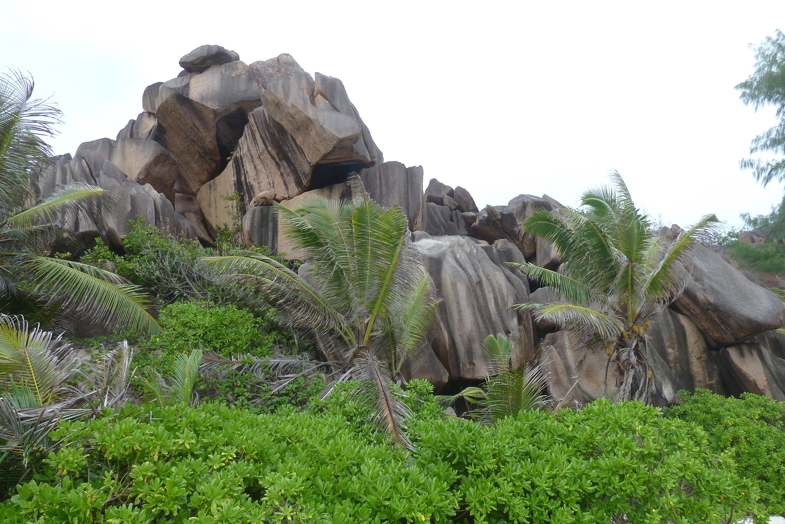 Photo Seychelles La Digue 2011-10 187