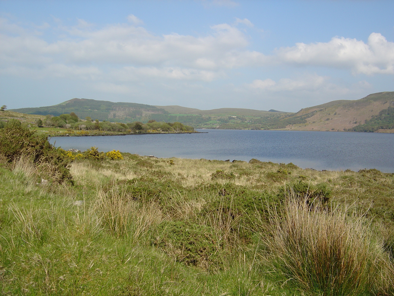 Photo Irlande Kerry Lac Caragh 2004-05 34