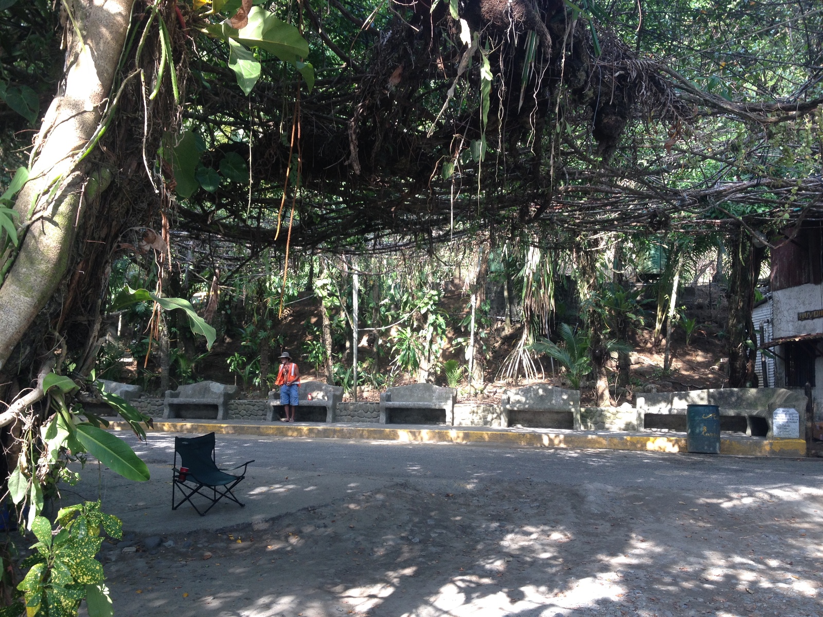 Photo Costa Rica Parc Manuel Antonio 2015-03 332