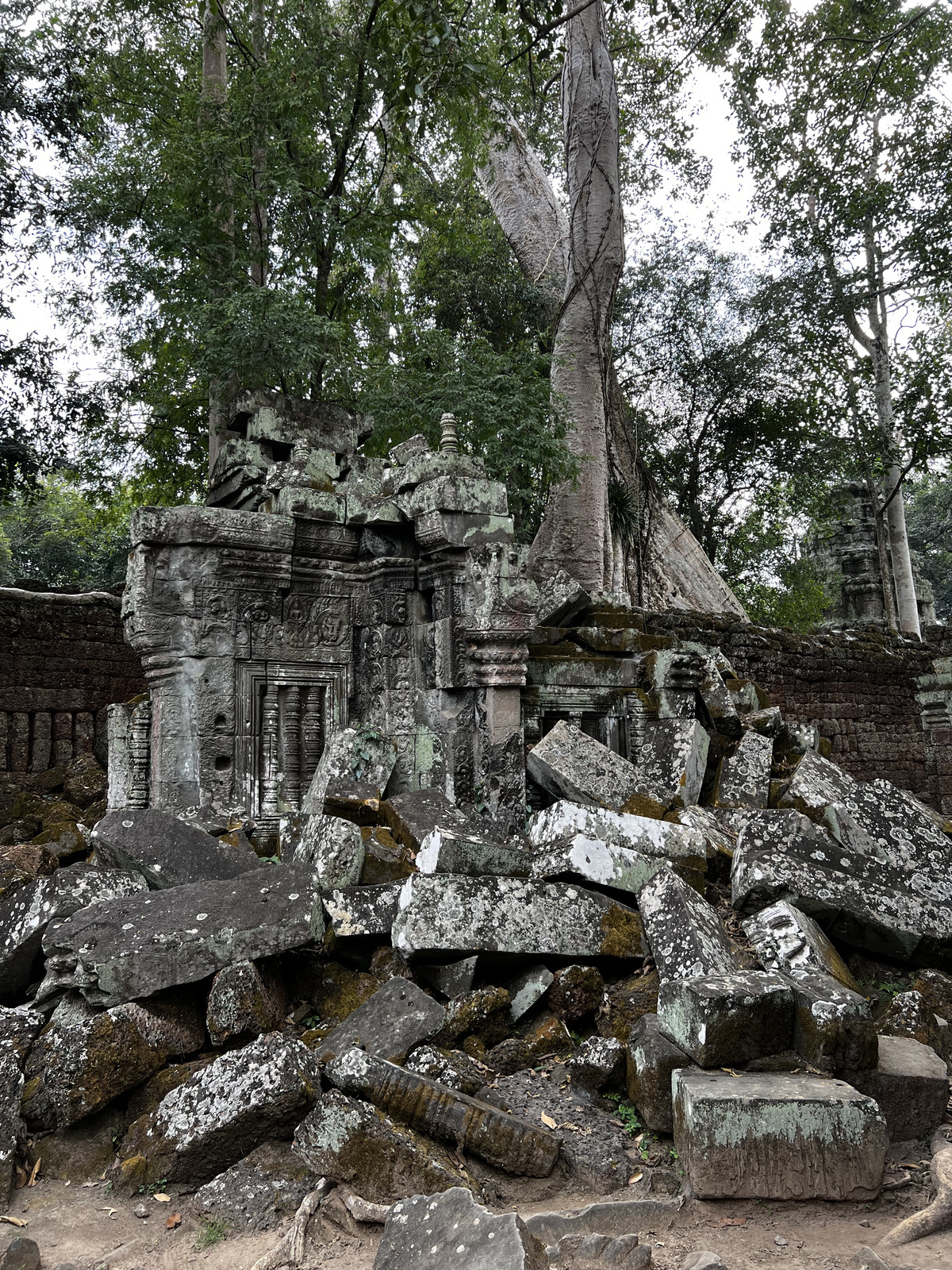 Photo Cambodge Siem Reap Ta Prohm 2023-01 81