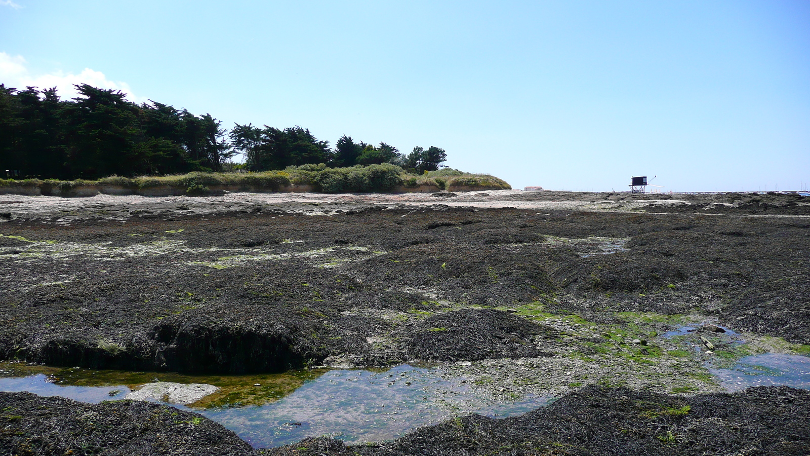 Photo France Préfailles La pointe Saint Gildas à La Pree 2007-08 16
