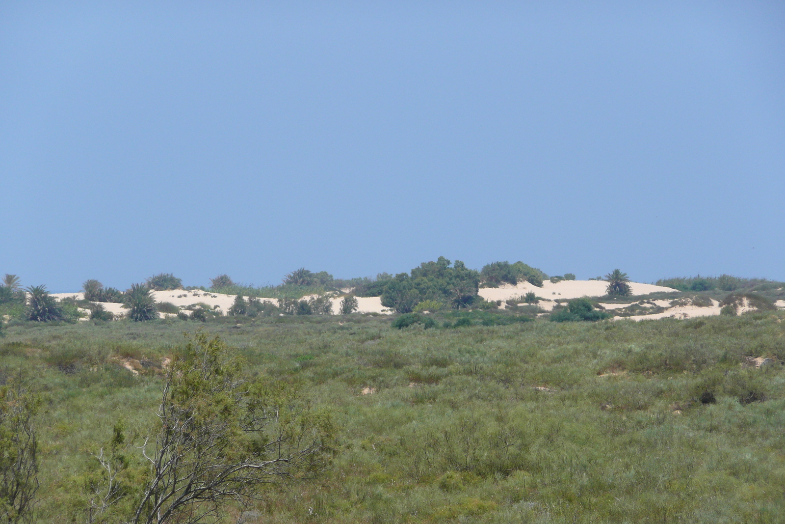 Photo Israel Nitzan 2007-06 24