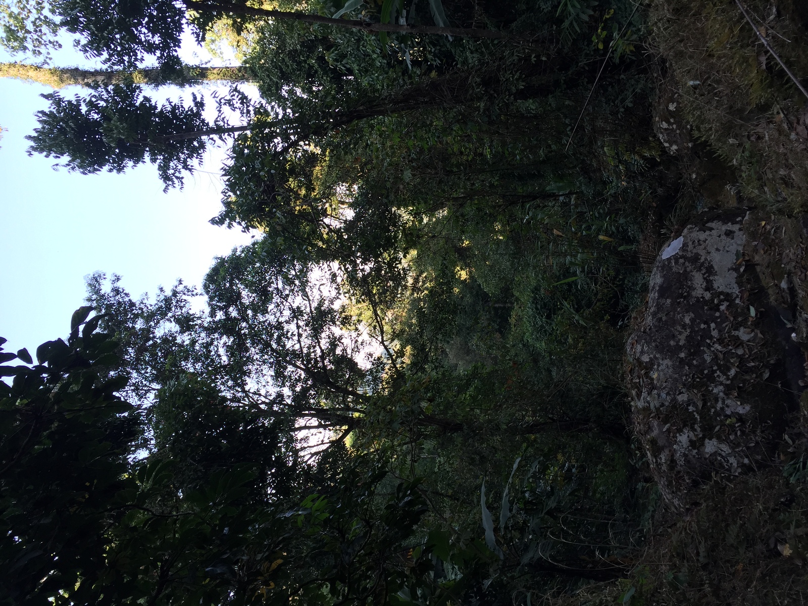 Photo Thaïlande Parc National Phu Hin Rong Kla 2014-12 227