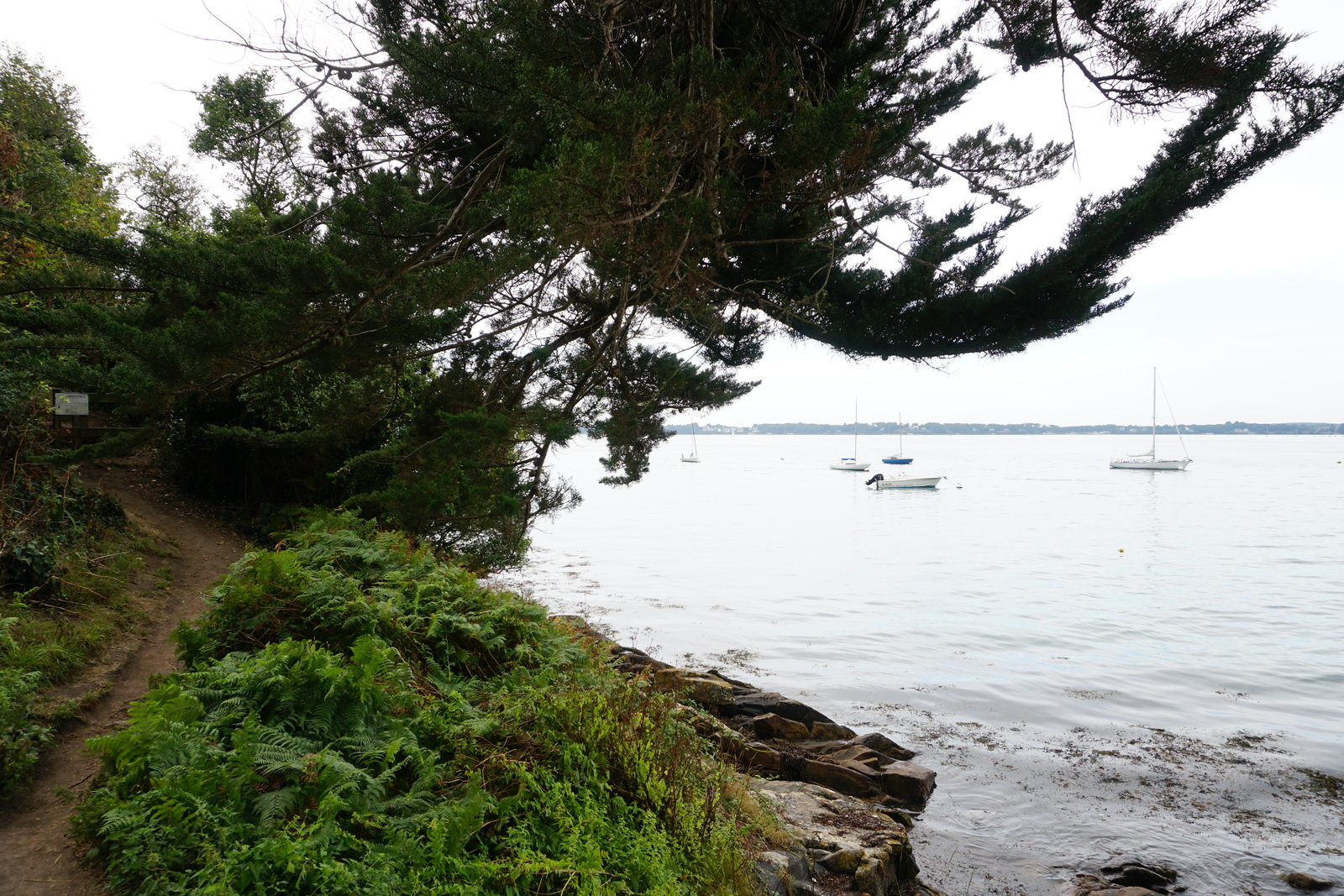 Photo France Île-aux-Moines 2016-08 113