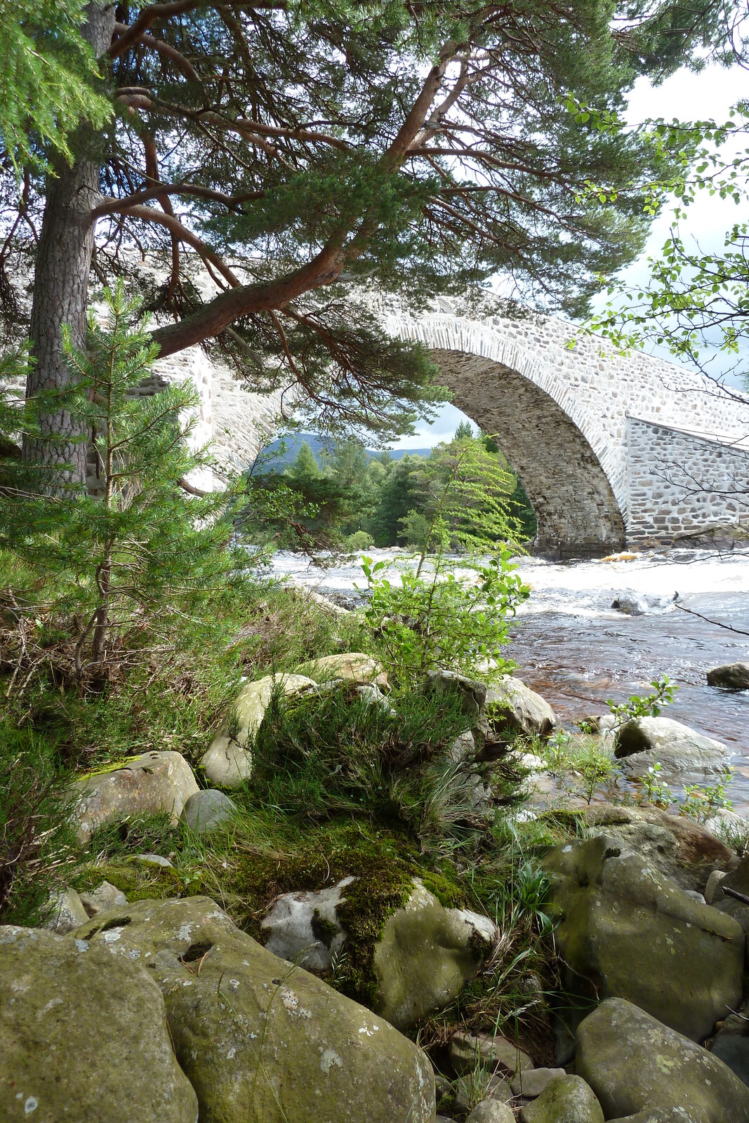 Photo Royaume-Uni Écosse Les Cairngorms Invercauld Bridge 2011-07 13