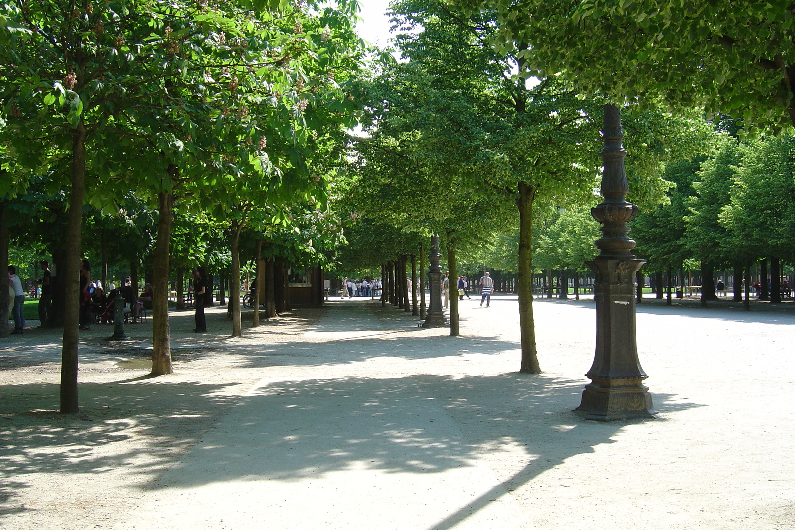 Photo France Paris Jardin des Tuileries 2007-05 5
