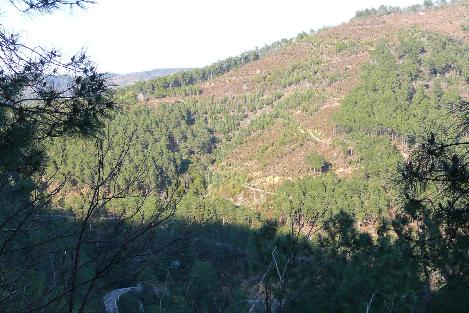 Photo France Les Cévennes 2008-04 44
