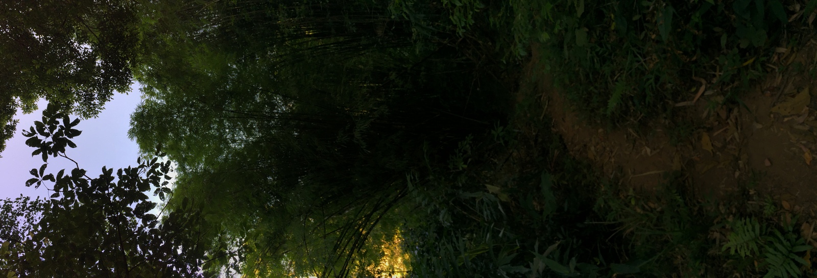 Photo Thaïlande Parc National Phu Hin Rong Kla 2014-12 155